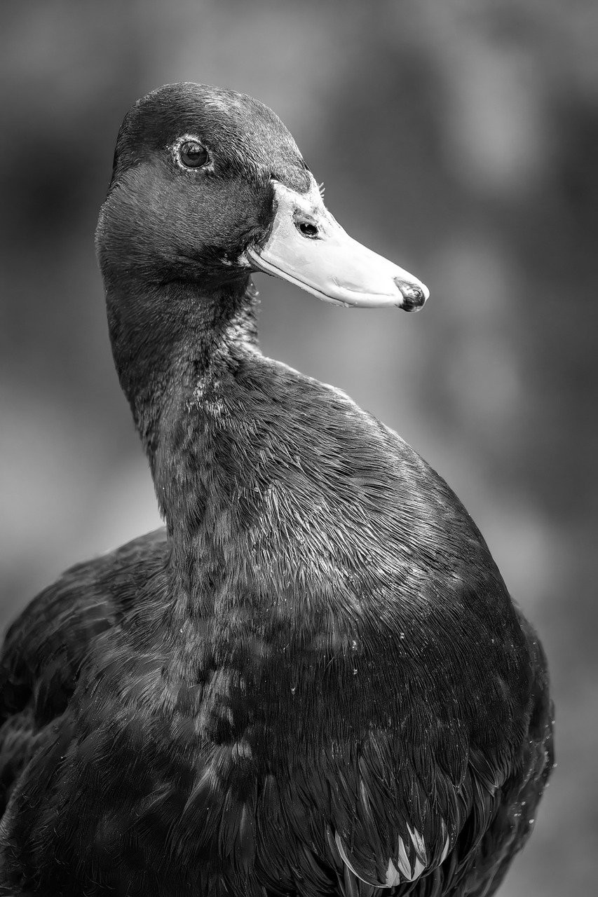 حقوق شغل جدیدم در بیاورم. البته از وقتی.