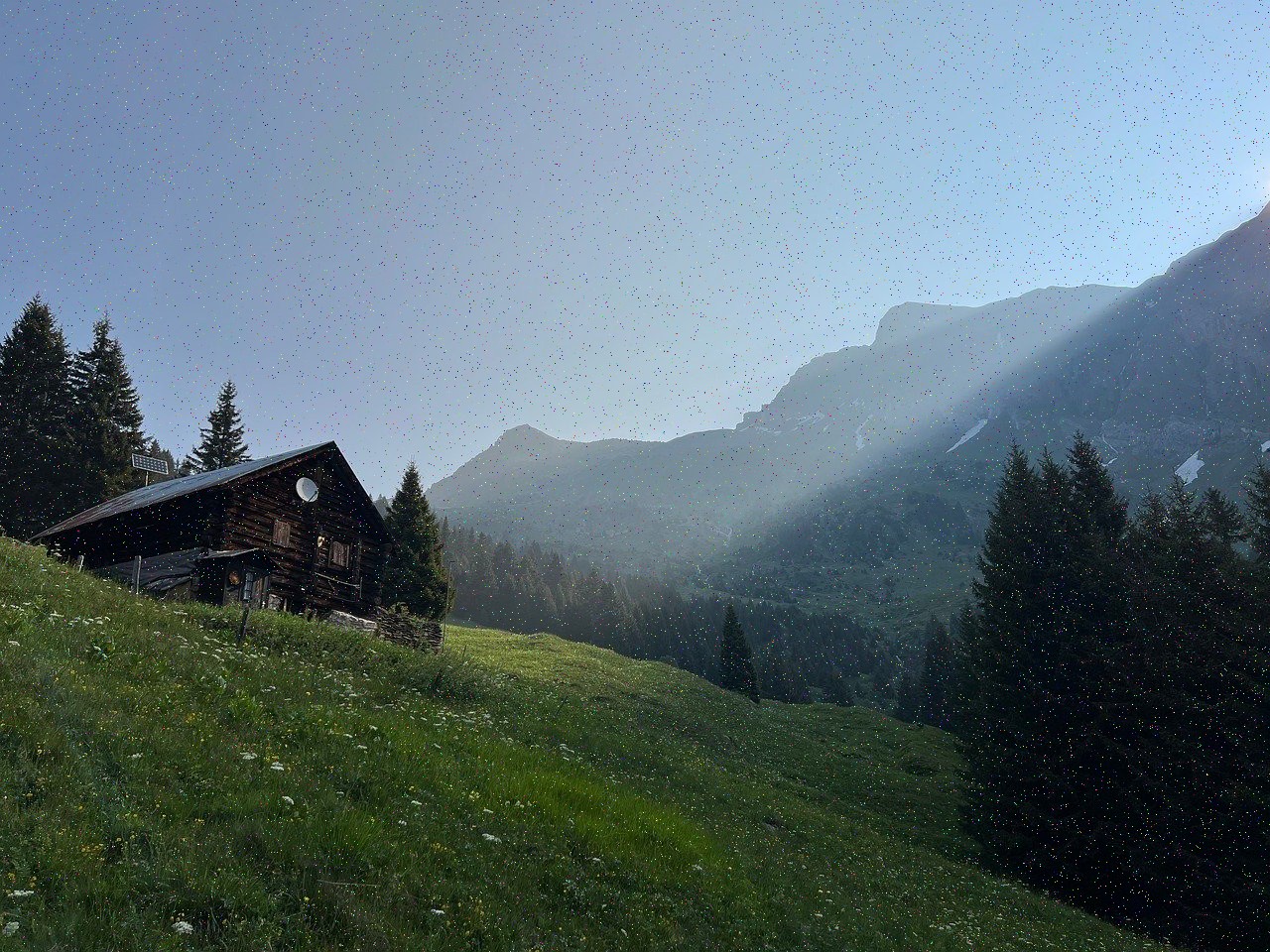 تصویر خبر: ماهی صد و پنجاه تومان. علت هم این روزها.