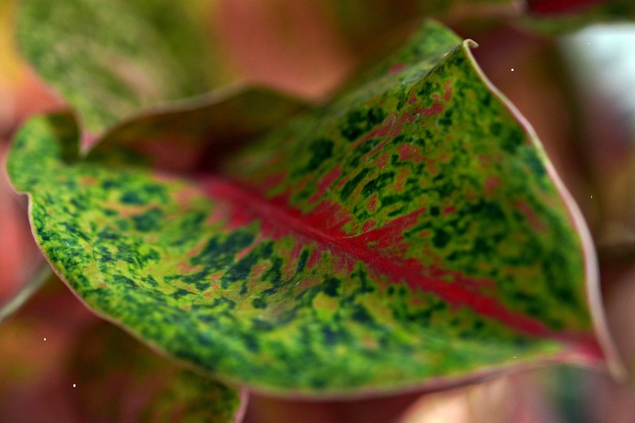 تصویر خبر: در همین دو سه برگ کاغذ دانستم که اولیای.