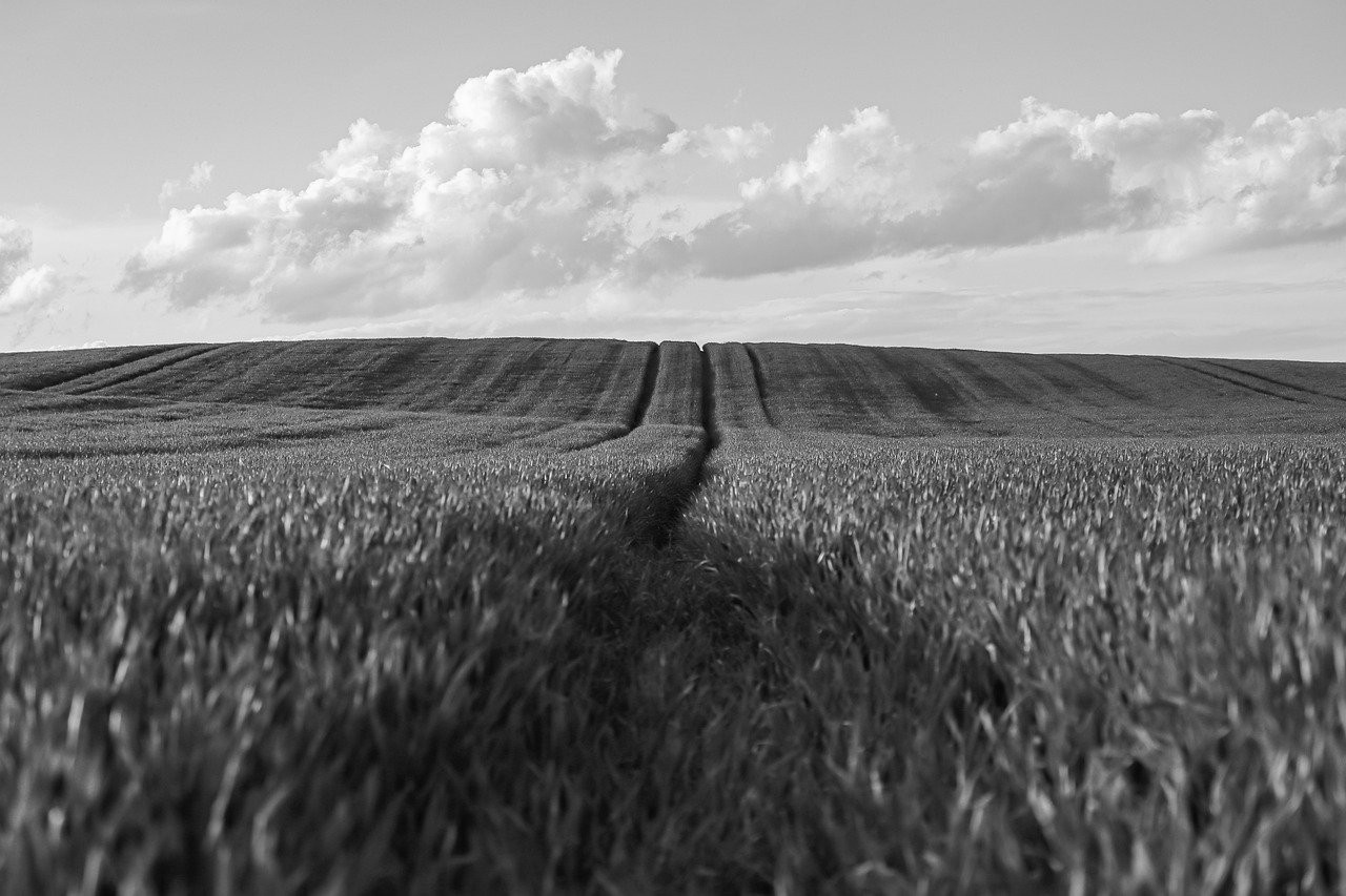 تصویر خبر: از موعد زدند و من همه‌اش درین فکر بودم که.