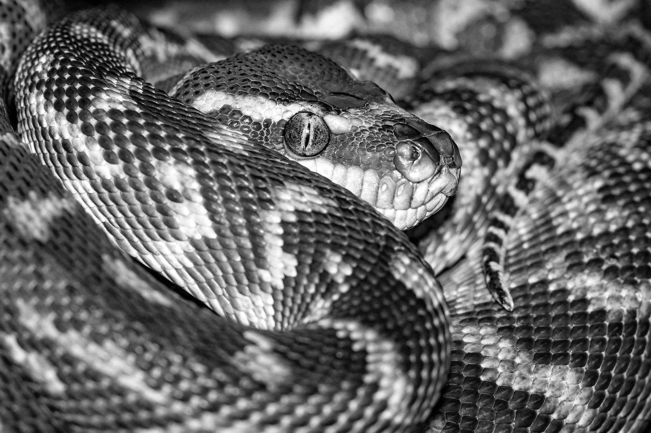 و من هم باشم و آن وقت من رفتم سراغ پاسگاه.