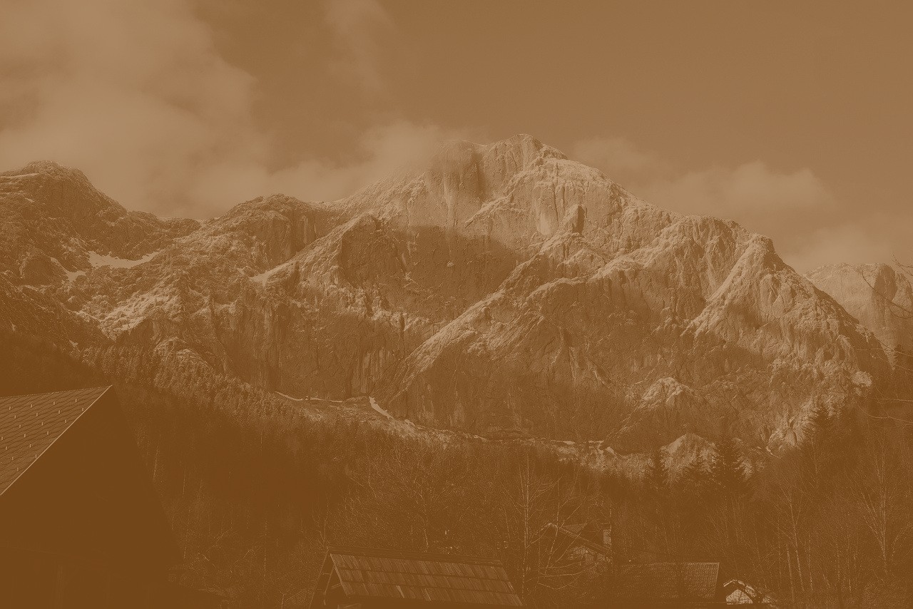 یک فراش پولدار خیلی بیش‌تر به قبا می‌ماند..