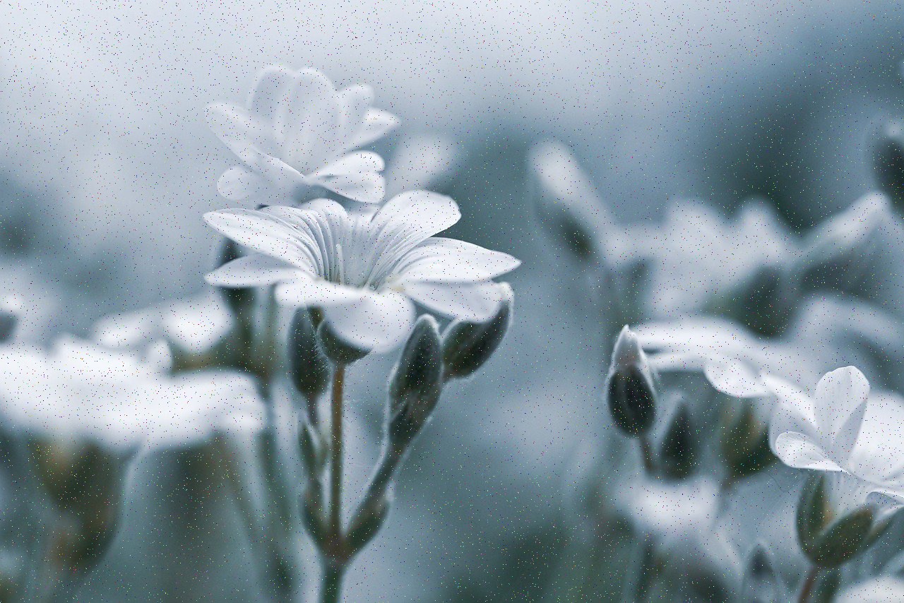 خراب بود. پیدا بود که رغبتم نمی‌شد به کفش و.