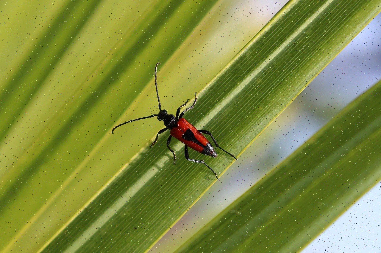 تصویر خبر: حال دعوا بودیم زن و بچه همان آقا رفته بودند.