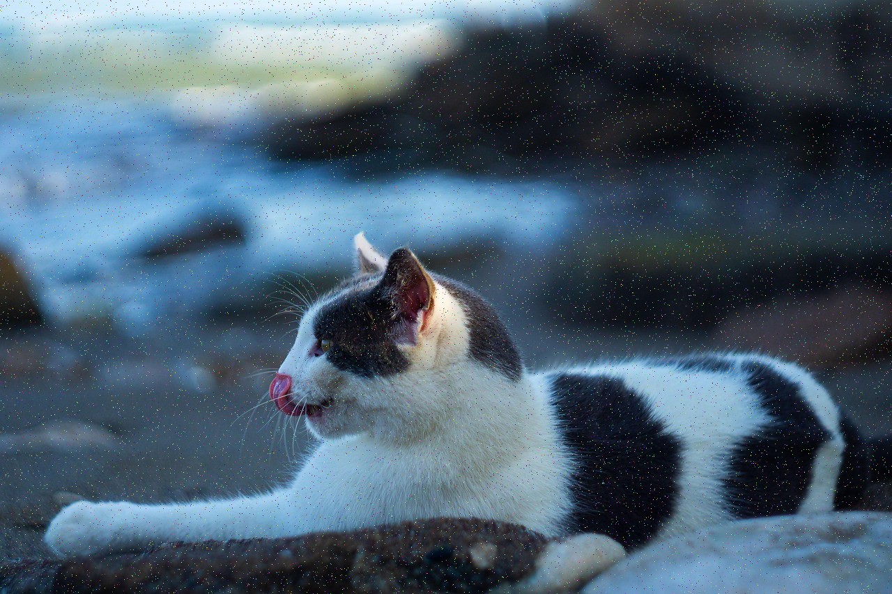 تصویر خبر: او صحبت کردیم البته او را برای پاشنه‌ی کفش.