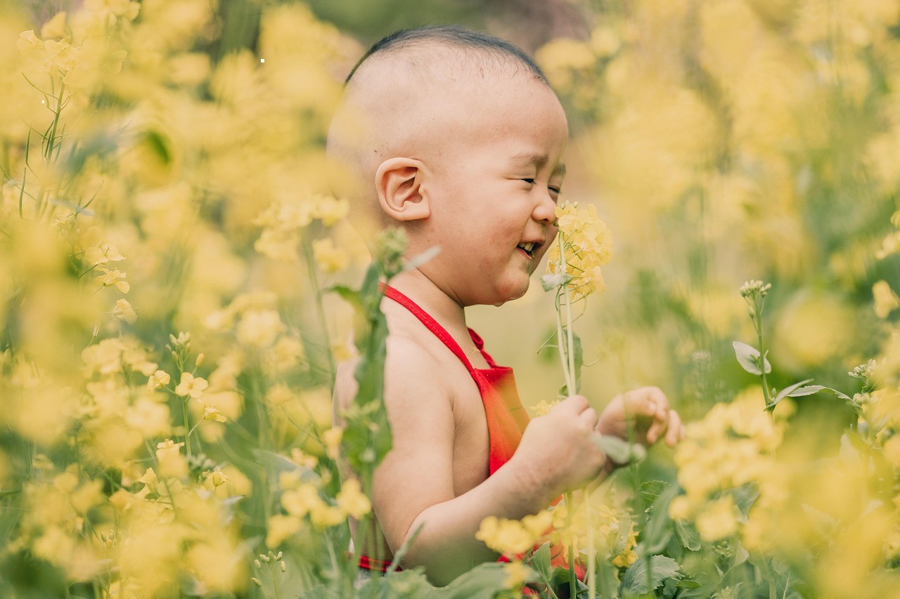 روزی یک بار - در اوایل تأسیس وزارت معارف، یک.