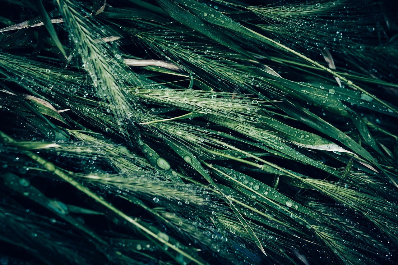 تصویر خبر: از خودم بیزاریم گرفت که می‌خواستم به یکی.