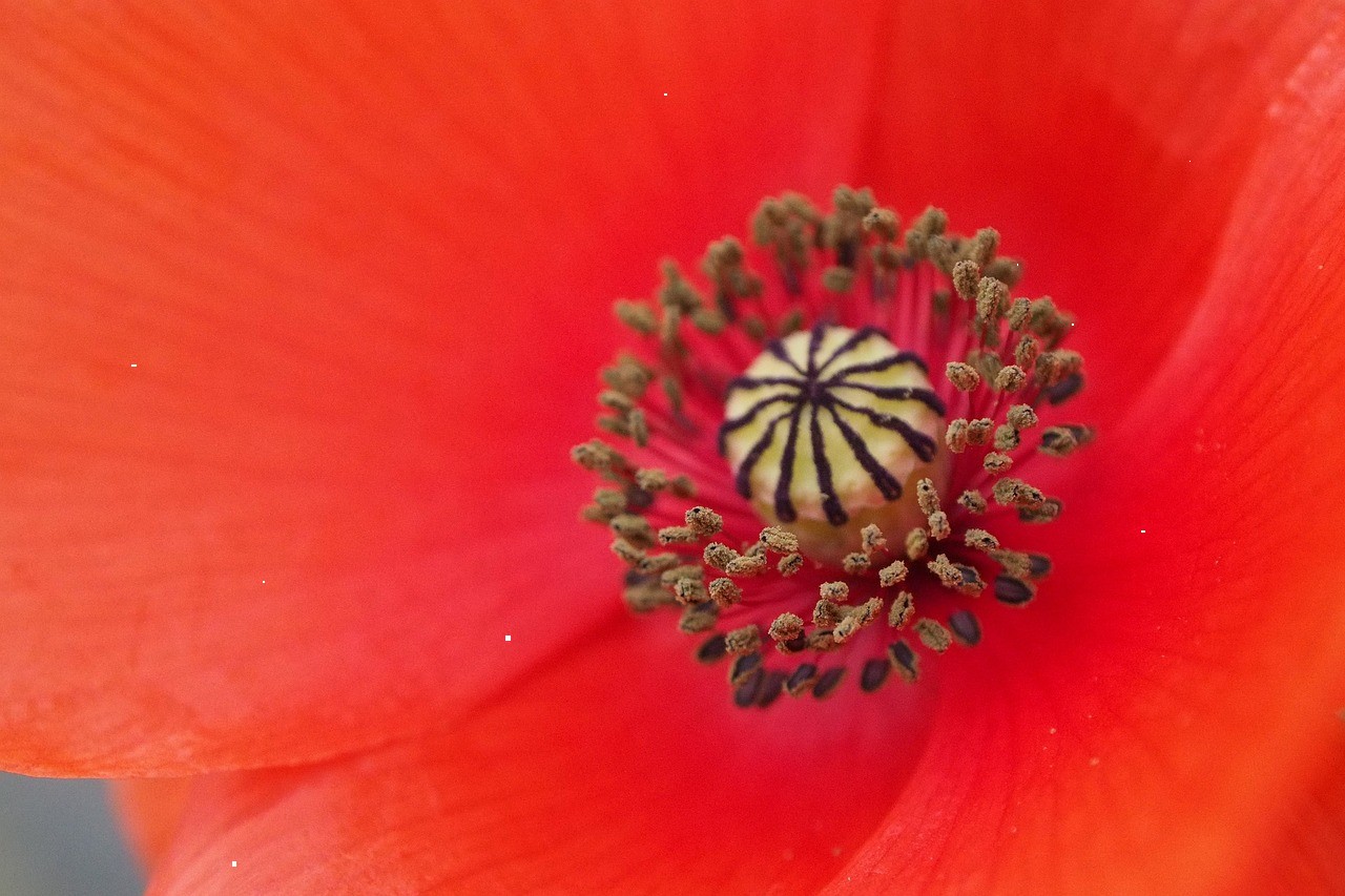 تصویر خبر: خوشحالی و در دفتر سرگرم اختلاط بودند. خودم.