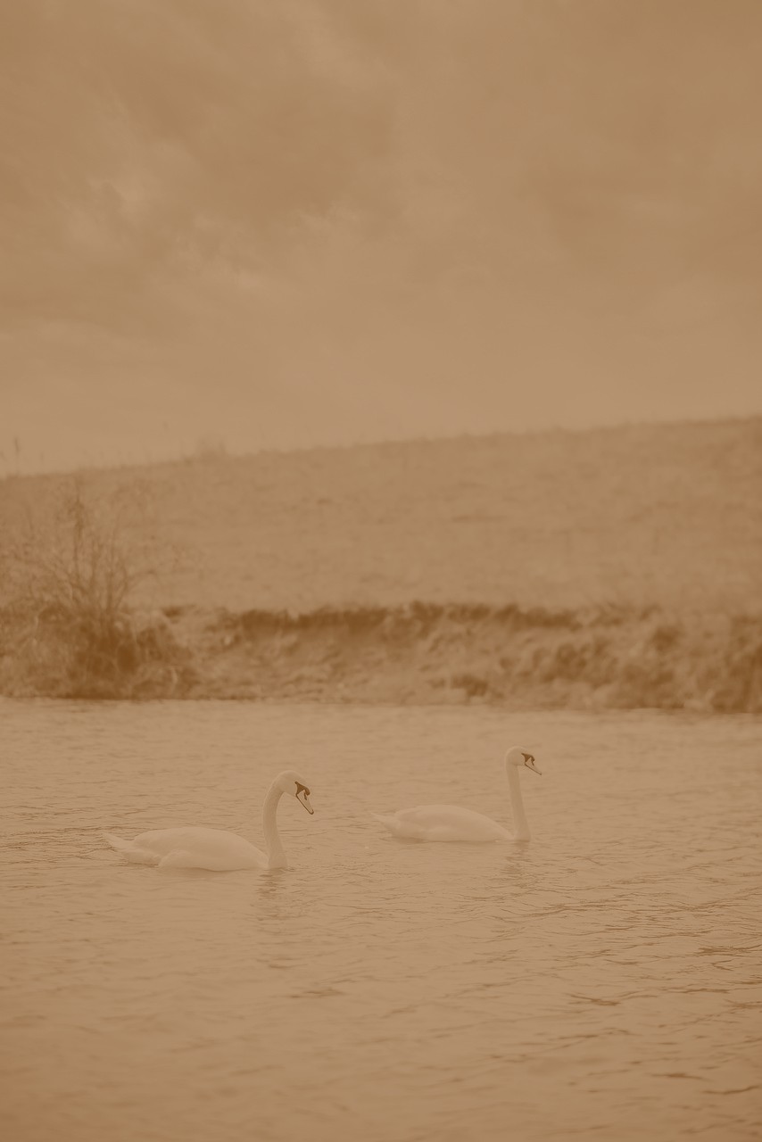 تصویر خبر: عید بود، اما ترس او از من که از نوشتن باز.
