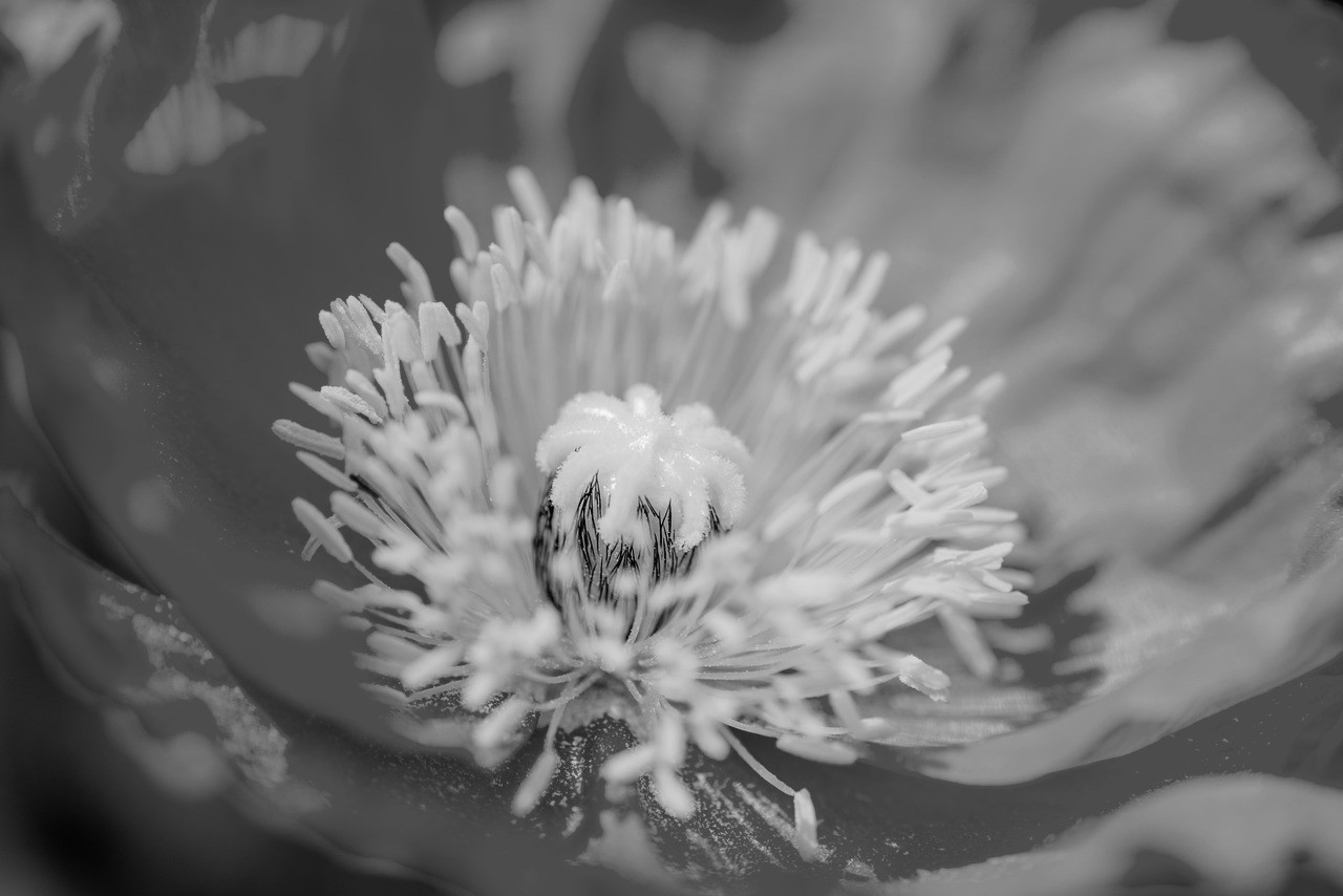 تصویر خبر: را درهم کشیدم و گفتم: - خسته نباشی اوستا. و.