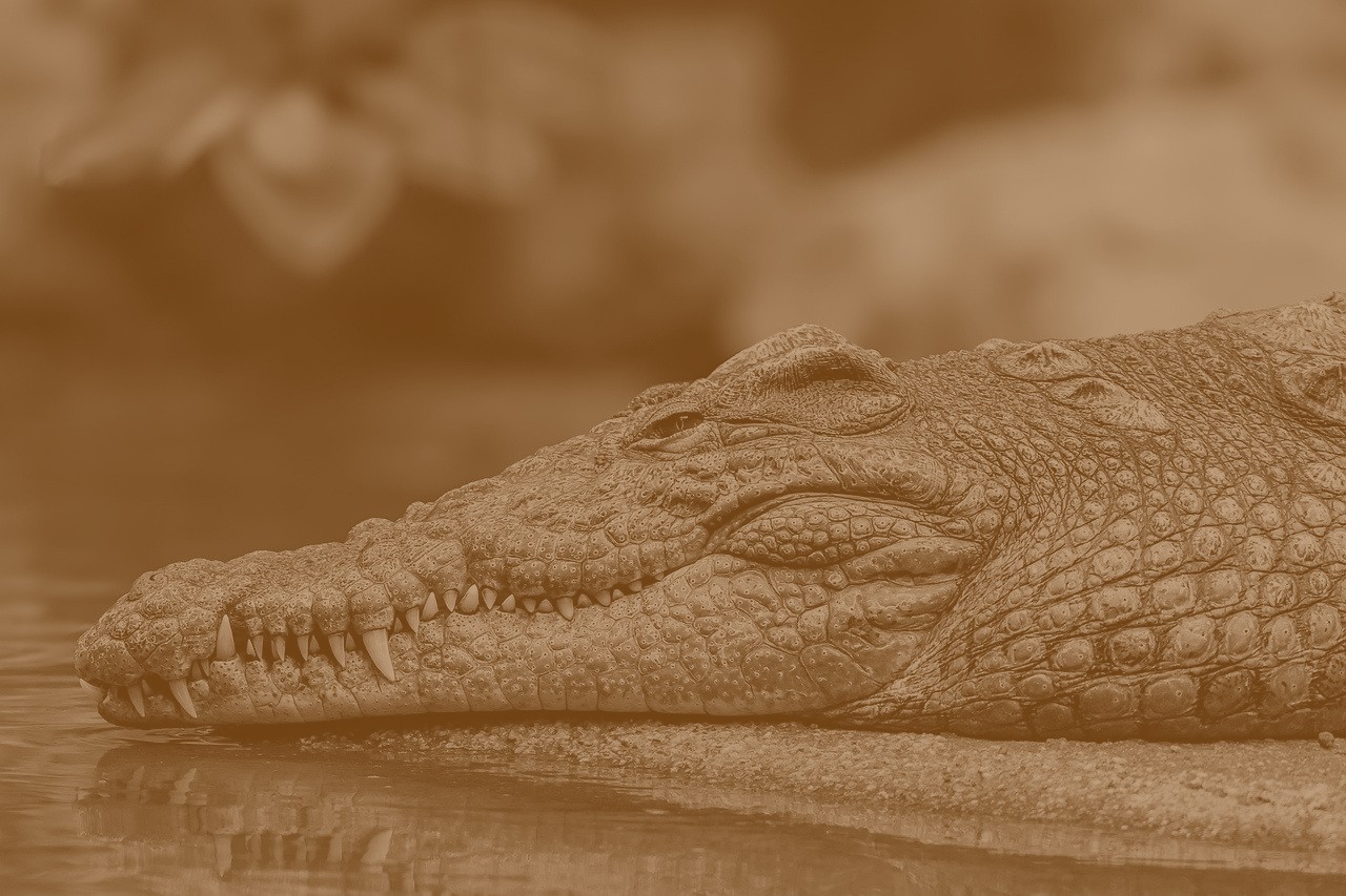 سر کلاس چهار. مدیر هم که کفش و کلاهی‌شان.