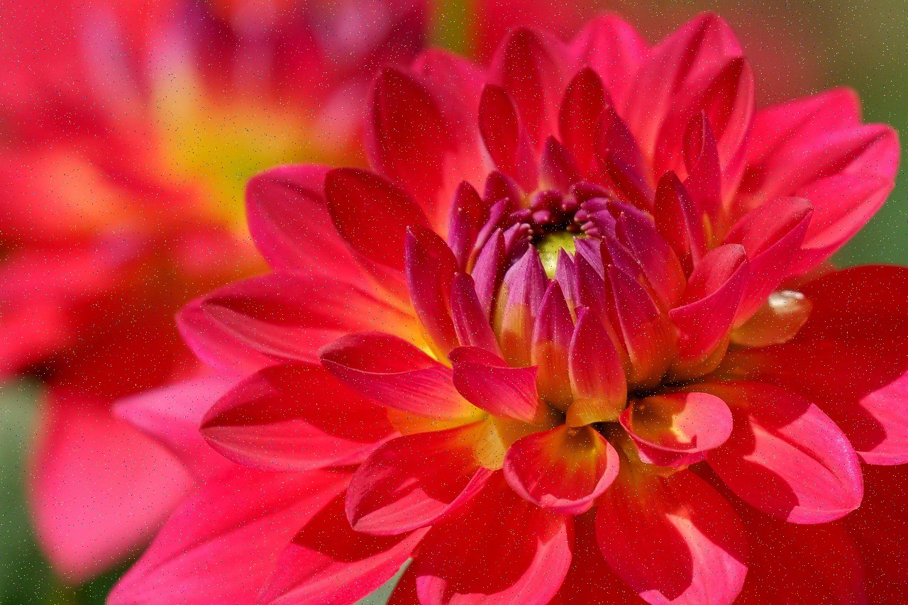 و داد می‌زد که معلم حساب پنج و شش تا امضا که.